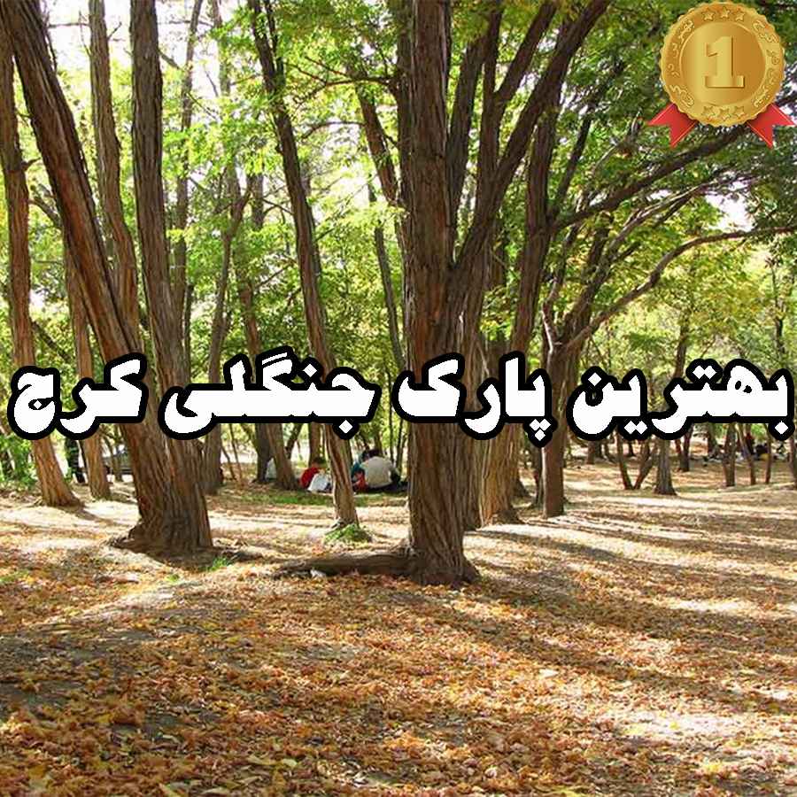 بهترین پارک جنگلی کرج